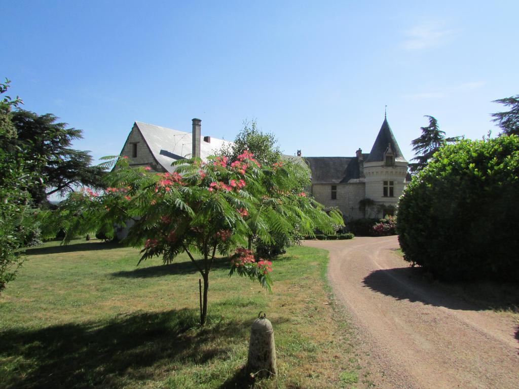 Bed and Breakfast Chateau De La Roche Martel Roiffe Экстерьер фото